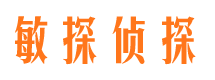 秀峰市调查公司